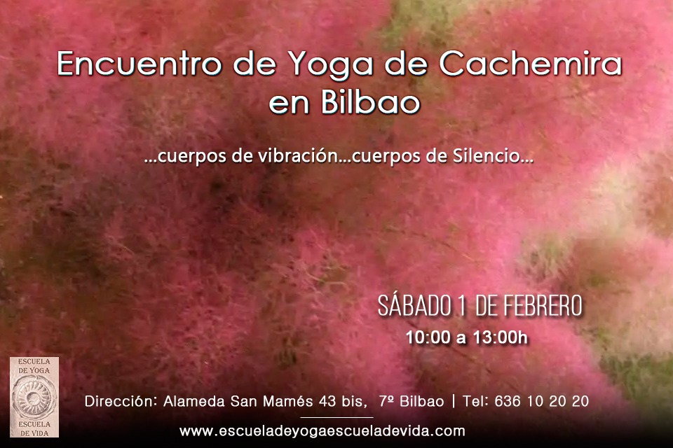 Encuentro De Yoga De Cachemira En Bilbao 1 Feb.