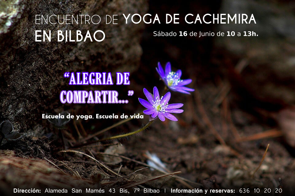 Encuentro De Yoga De Cachimira En Bilbao Junio 2018