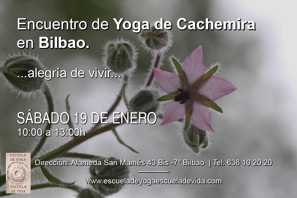 Sábado 19 De Enero Encuentro De Yoga Cachemira En Bilbao «Alegría De Vivir»