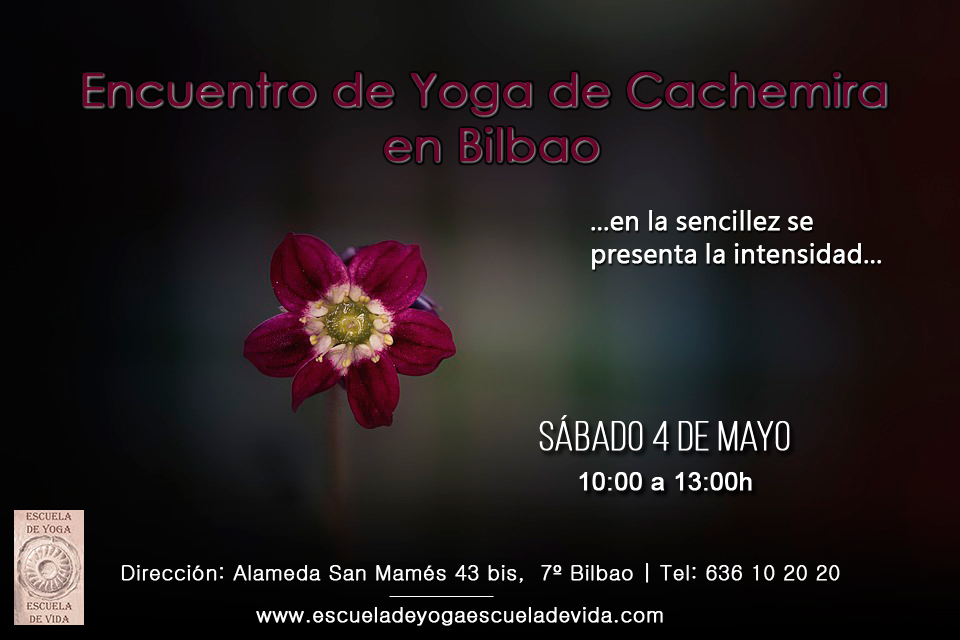 Encuentro De Yoga De Cachemira En Bilbao Sábado 4 De Mayo