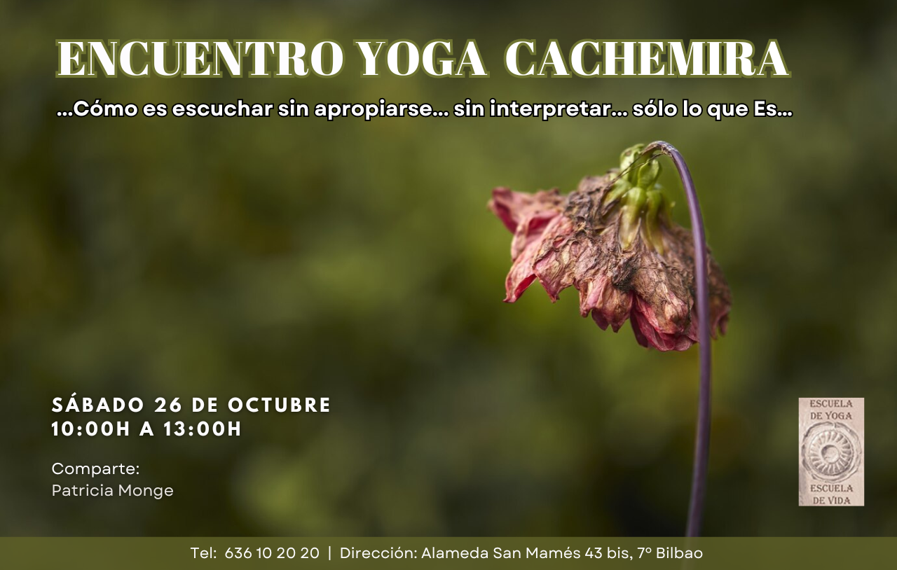 Nuevo Encuentro De Yoga Cachemira En Bilbao