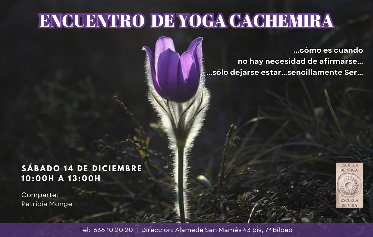 Nuevo Encuentro De Yoga Cachemira En Bilbao